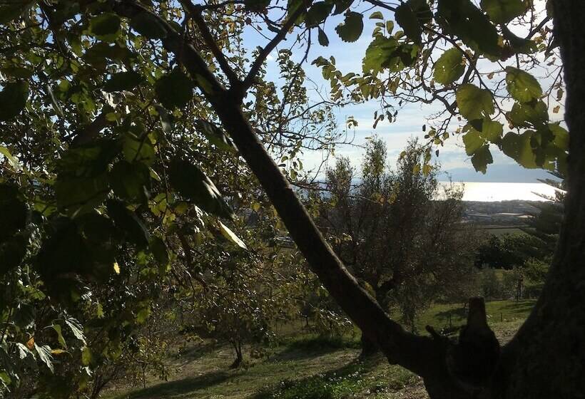 بنسيون Don Giacchi Country House