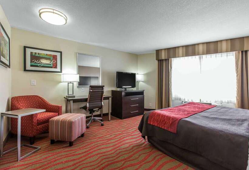 בית מלון כפרי Comfort Inn Los Angeles Near Hollywood
