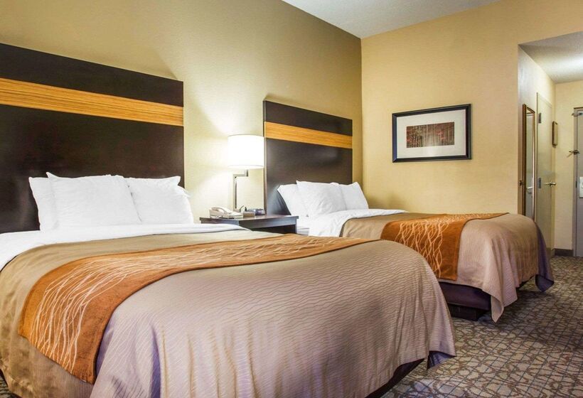 ホテル Comfort Inn & Suites At Stone Mountain