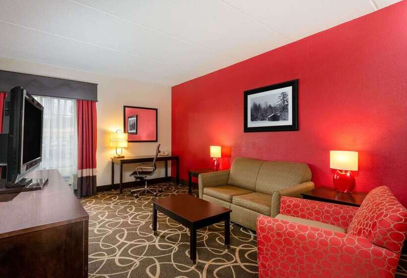 ホテル La Quinta Inn & Suites   New River Gorge National Park