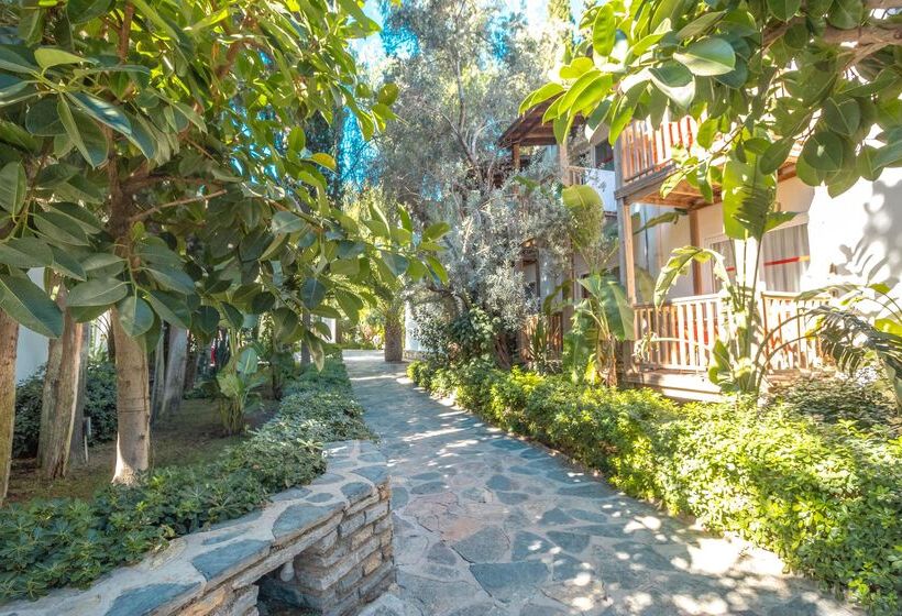 酒店 Marvida Senses Very Chic Bodrum Adult Only