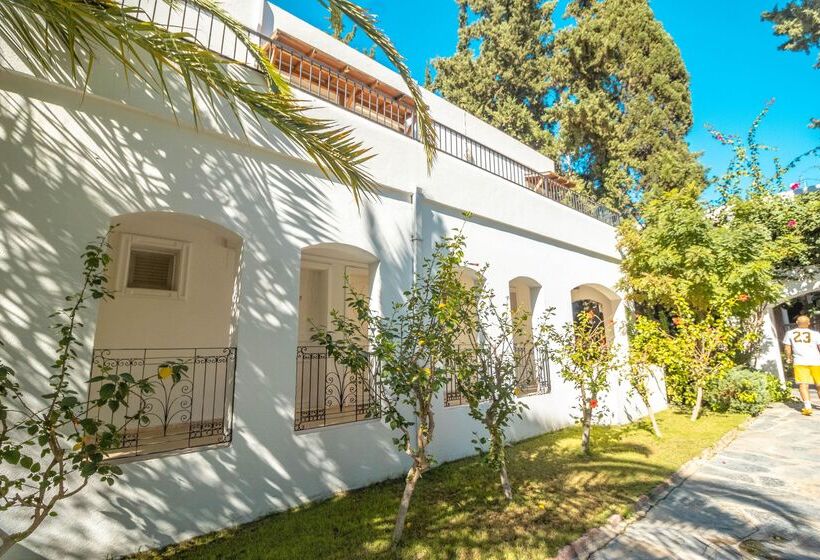 酒店 Marvida Senses Very Chic Bodrum Adult Only