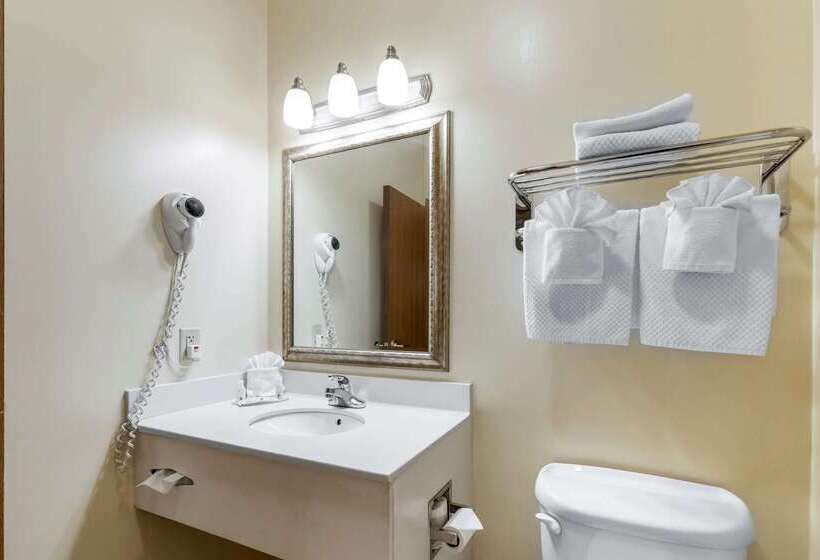 Отель Quality Inn & Suites Wellington   Fort Collins