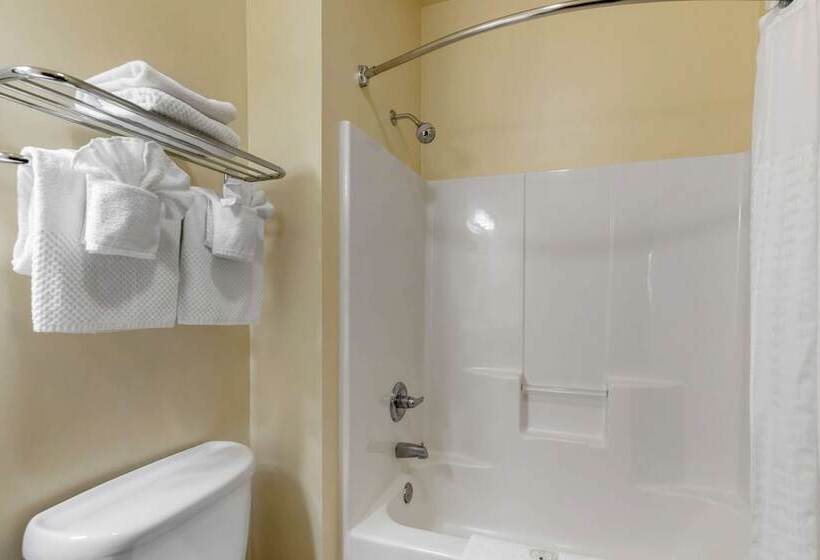Отель Quality Inn & Suites Wellington   Fort Collins