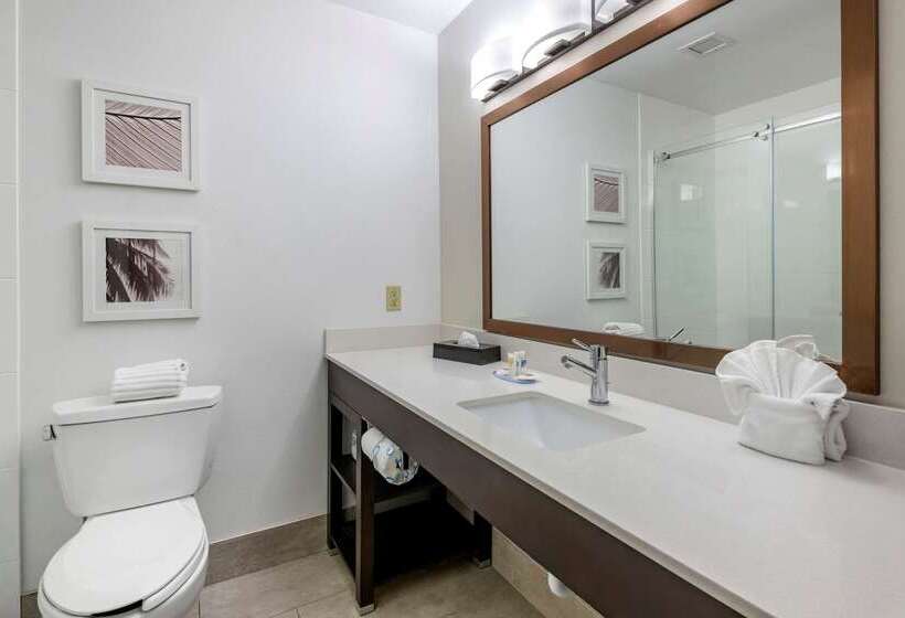 فندق Spark By Hilton St. Augustine I 95