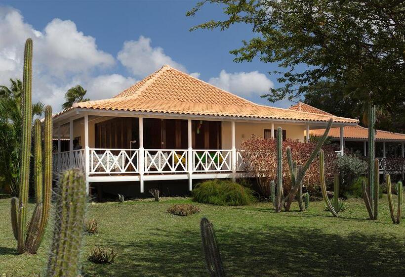 Papagayo Beach Resort
