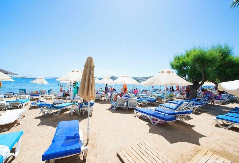 Sami Beach Hotel  All Inclusive