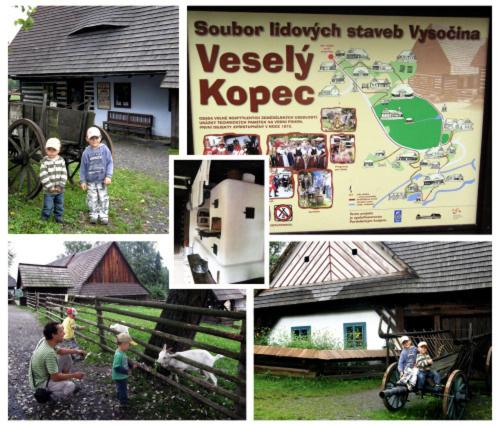 בית מלון כפרי Vysocina