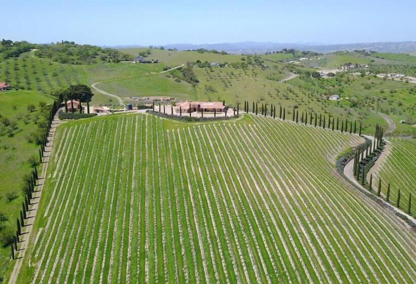 פנסיון Aterno Vineyard, Guest House