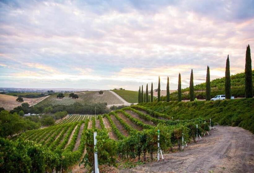 פנסיון Aterno Vineyard, Guest House
