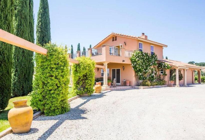 פנסיון Aterno Vineyard, Guest House