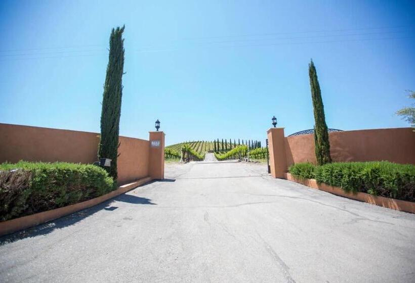 פנסיון Aterno Vineyard, Guest House