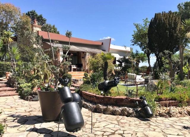 تختخواب و صبحانه La Cactée Singulière