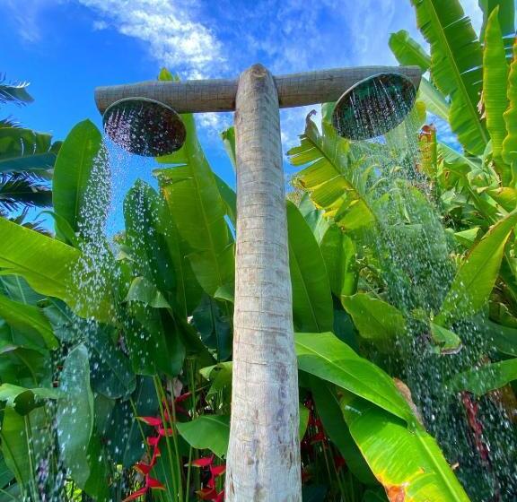 پانسیون Villa Dos Nativos Boutique