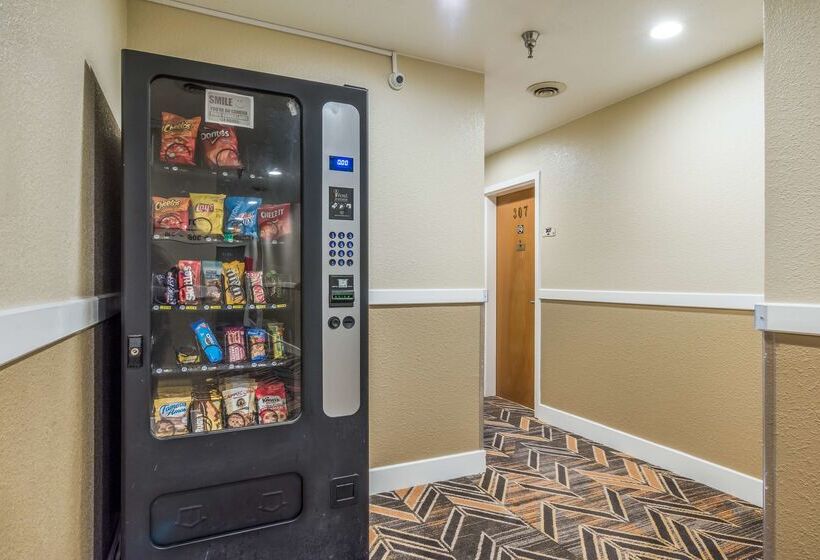 酒店 Americas Best Value Inn San Francisco/pacifica