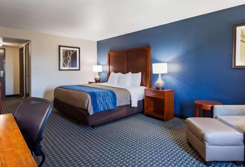 בית מלון כפרי Best Western Northwest Corpus Christi Inn & Suites