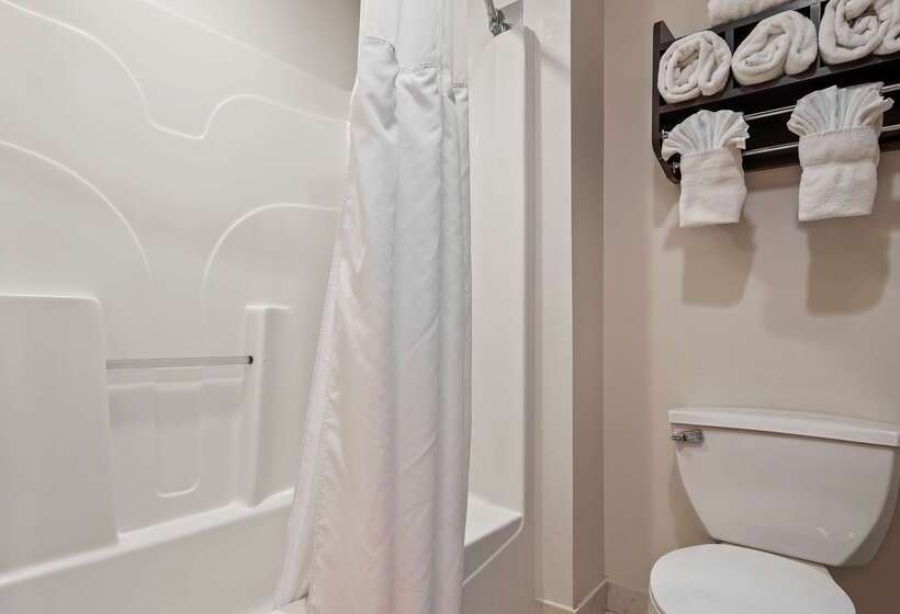 酒店 Best Western Plus O Hare International South
