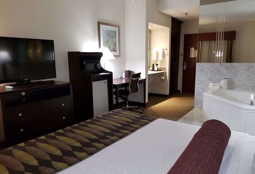 酒店 Best Western Plus O Hare International South
