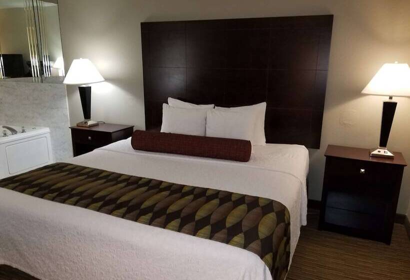 酒店 Best Western Plus O Hare International South