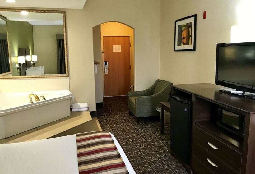 فندق Best Western Rayne Inn