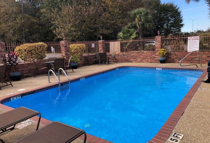 فندق Best Western Rayne Inn