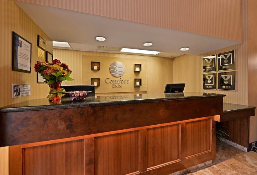 فندق Comfort Inn
