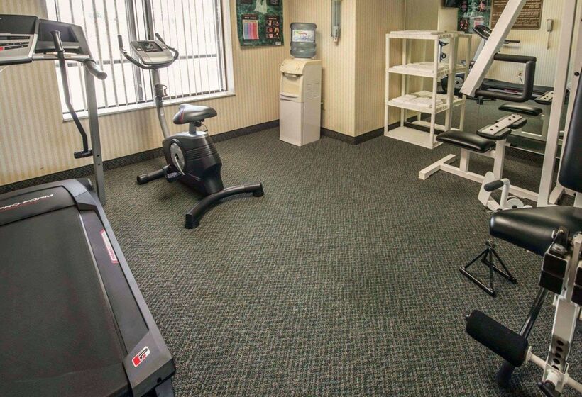 ホテル Comfort Inn & Suites