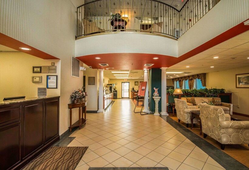 ホテル Comfort Inn & Suites