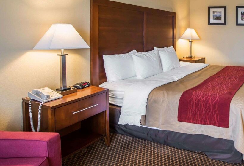 ホテル Comfort Inn & Suites