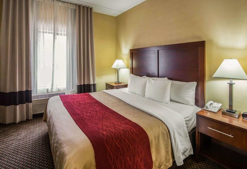 ホテル Comfort Inn & Suites