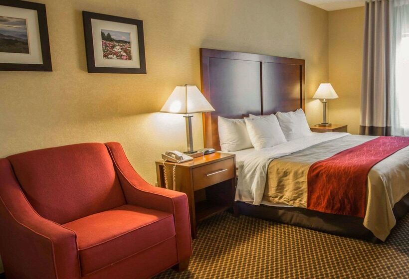 ホテル Comfort Inn & Suites