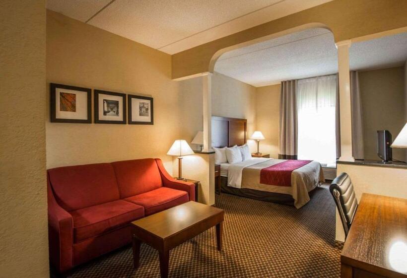 ホテル Comfort Inn & Suites