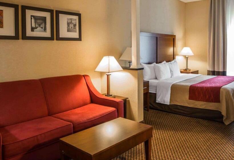 ホテル Comfort Inn & Suites
