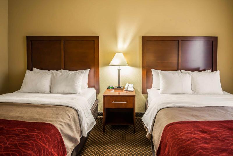 ホテル Comfort Inn & Suites