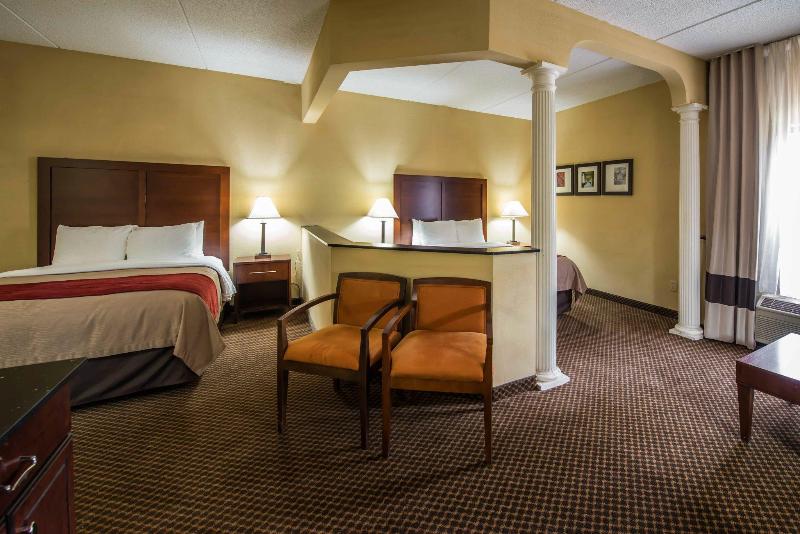 ホテル Comfort Inn & Suites