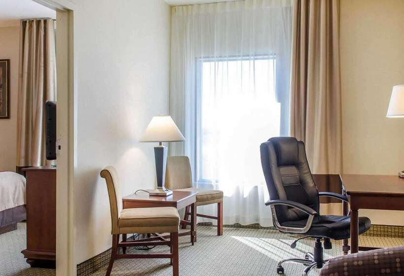 酒店 Comfort Inn & Suites