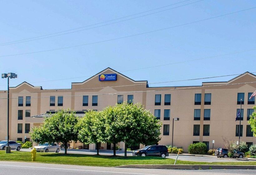 酒店 Comfort Inn & Suites