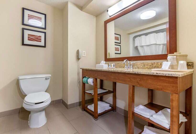 فندق Comfort Inn Blythewood  North Columbia