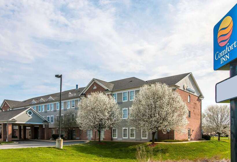 酒店 Comfort Inn