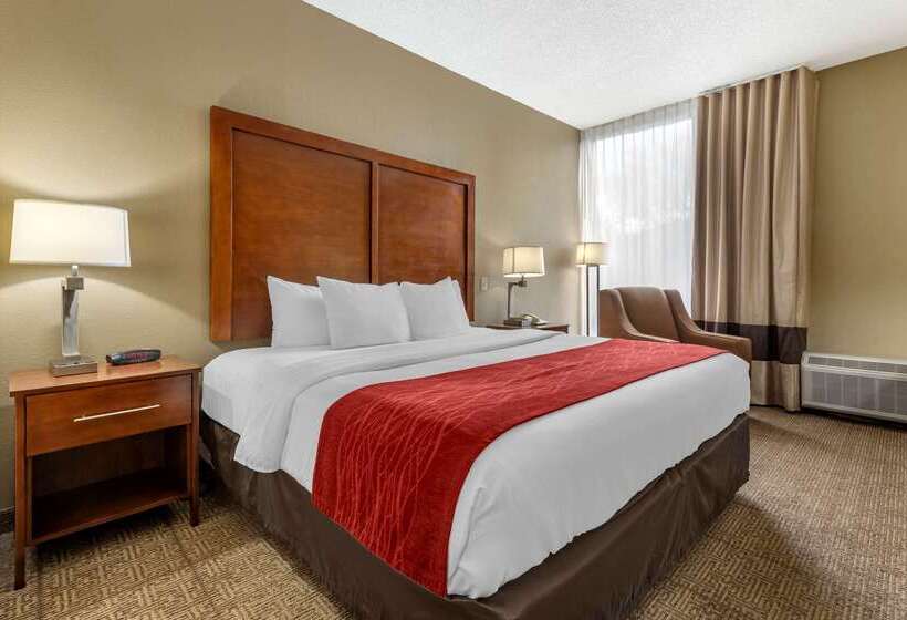 ホテル Comfort Inn Cranberry Twp