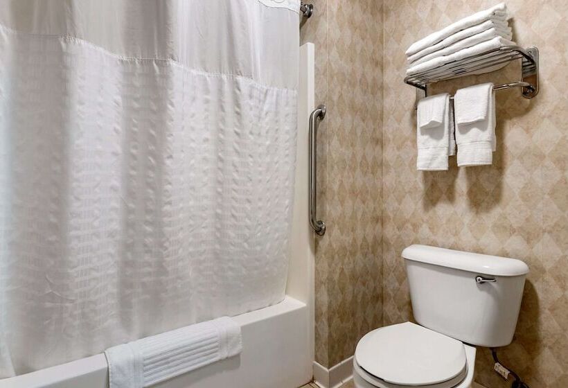 בית מלון כפרי Comfort Inn Dyersville Near The Field Of Dreams