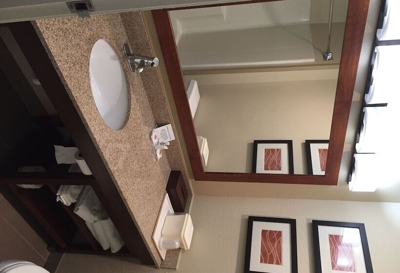 酒店 Comfort Inn Gurnee Near Six Flags
