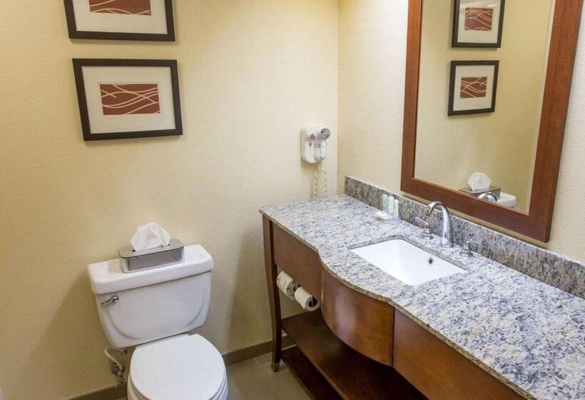 فندق Comfort Inn Hammond