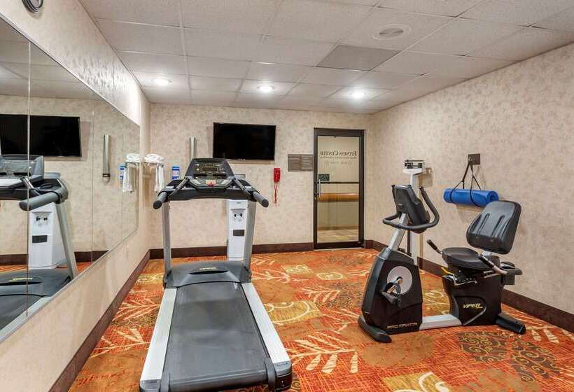 בית מלון כפרי Comfort Inn & Suites Branson Meadows