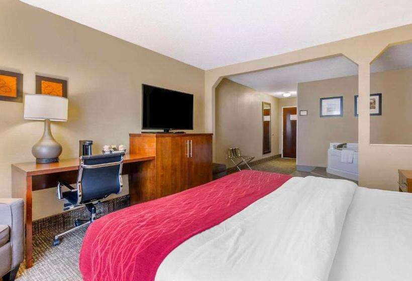 Отель Comfort Inn & Suites Christiansburg I 81
