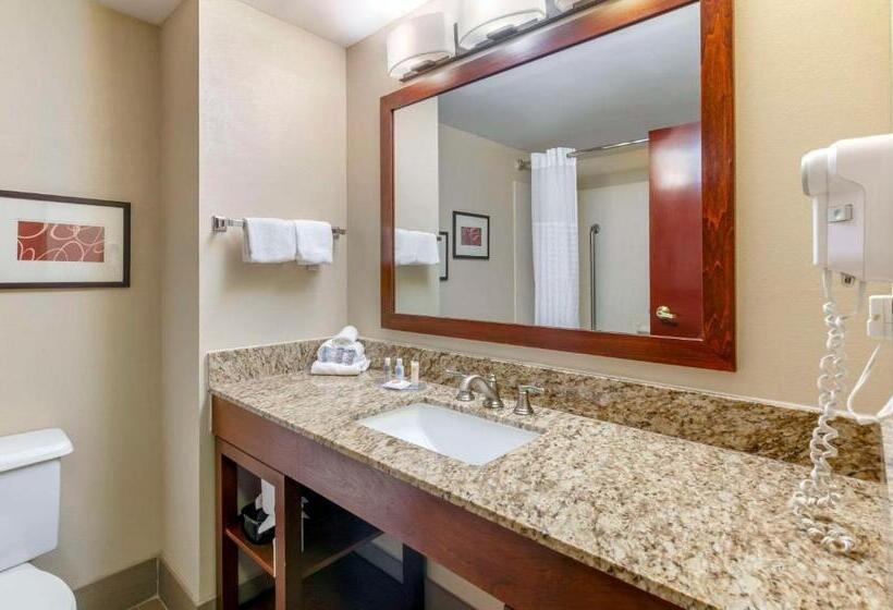 Отель Comfort Inn & Suites Christiansburg I 81