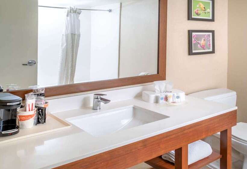 酒店 Comfort Inn & Suites