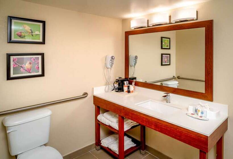 酒店 Comfort Inn & Suites