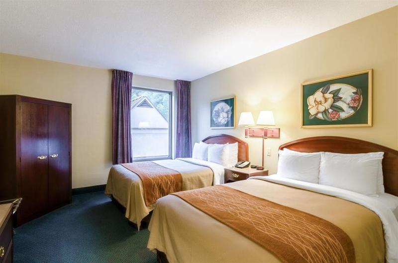 酒店 Comfort Inn & Suites