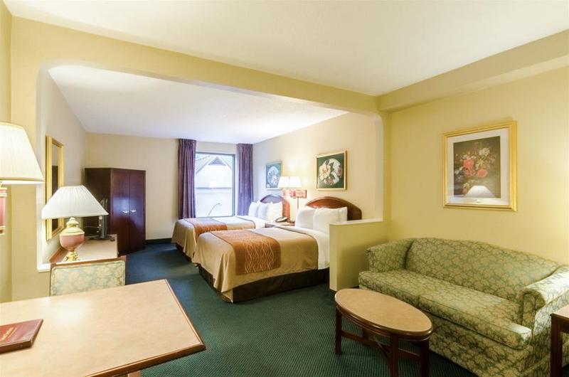 酒店 Comfort Inn & Suites